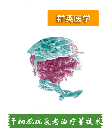 干細(xì)胞抗衰老、肝細(xì)胞治療等技術(shù)