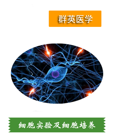 細(xì)胞實驗、細(xì)胞培養(yǎng)