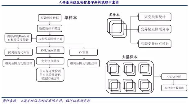 基因測序發(fā)展新態(tài)勢：在上游發(fā)展三四代技術(shù)，在下游完成樣本積累