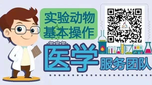 實(shí)驗(yàn)動(dòng)物視頻教程系列：大鼠抓取技巧